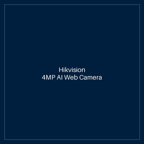 Hikvision- 4MP AI Web Camera