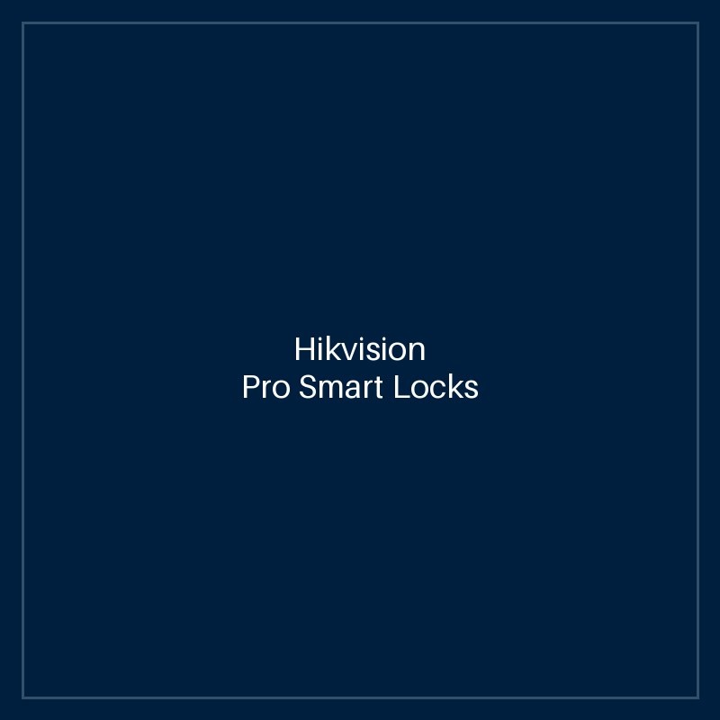 Hikvision Pro Smart Locks