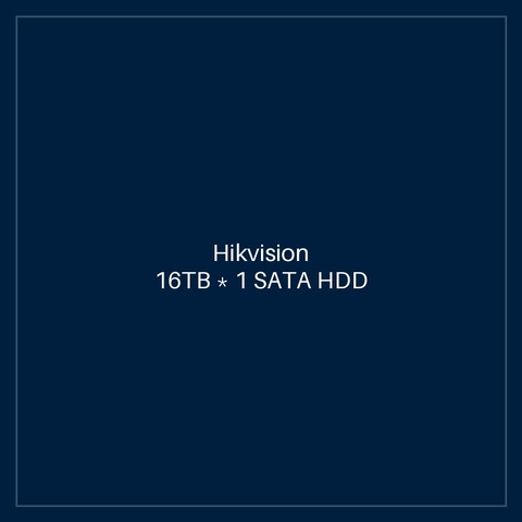 Hikvision 16TB * 1 SATA HDD