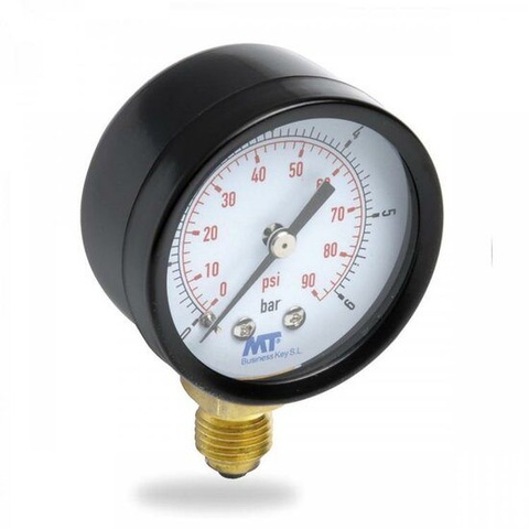 Dry Sphere Pressure Gauge DN50 Brass Bottom Connection 1/4”