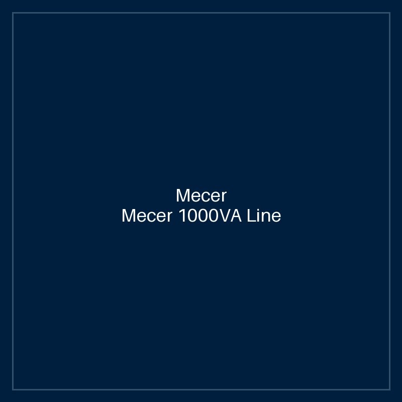 Mecer 1000VA Line Interactive UPS