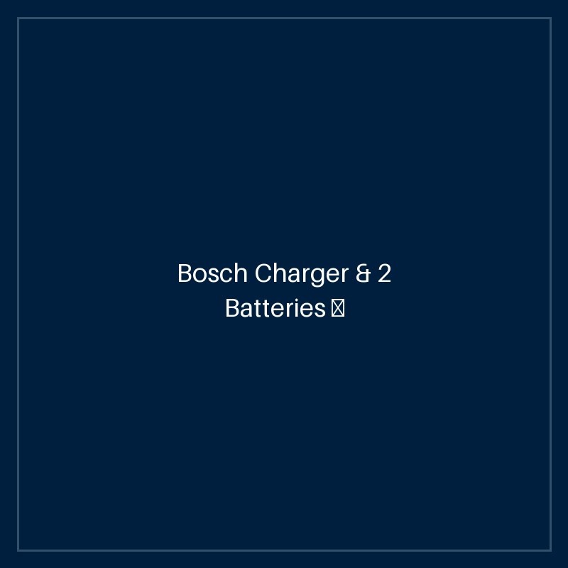 Bosch Charger & 2 Batteries — StarterKit 18V, 5.0 Ah