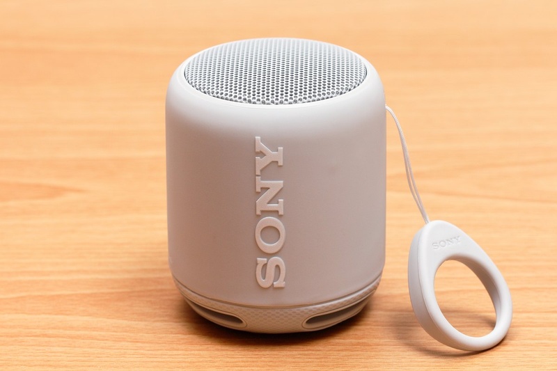 Sony SRS-XB100 Wireless Speaker