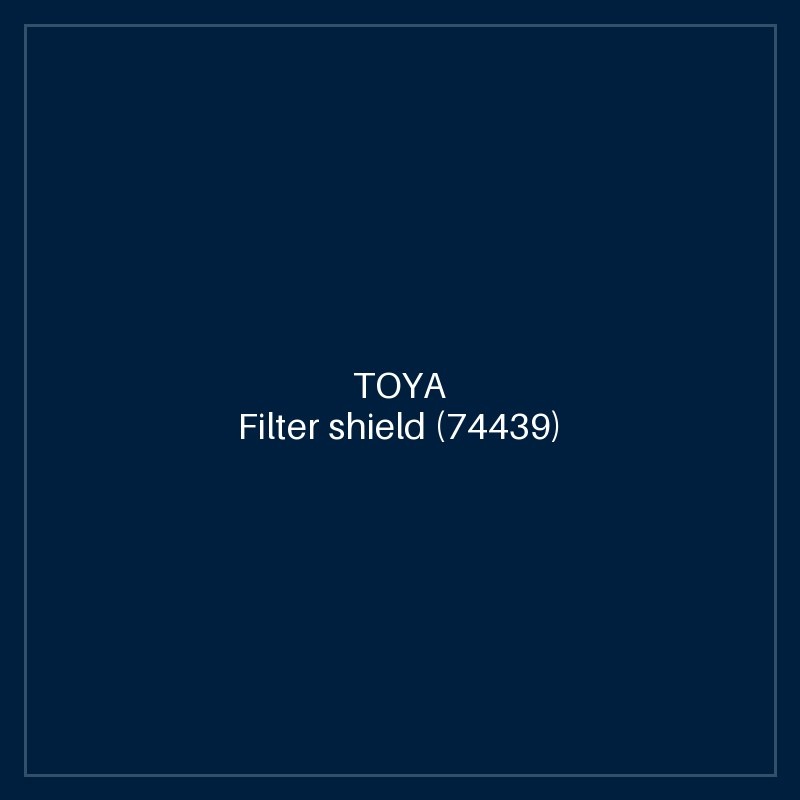 Filter shield
