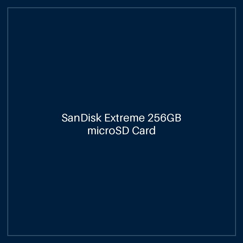 SanDisk Extreme 256GB microSD Card