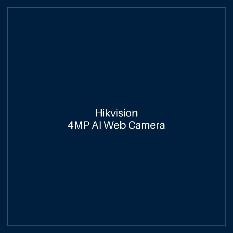 Hikvision- 4MP AI Web Camera