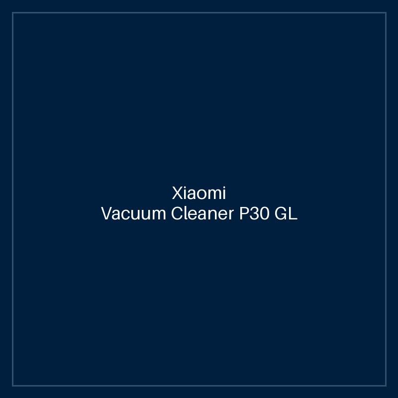 Xiaomi Vacuum Cleaner P30 GL