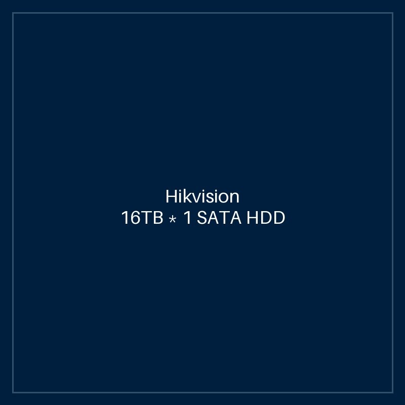 Hikvision 16TB * 1 SATA HDD