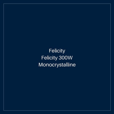 Felicity 300W Monocrystalline Solar Panel