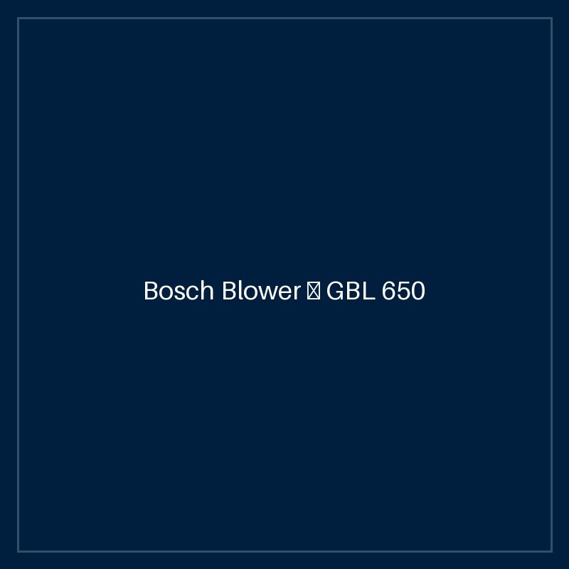 Bosch Blower — GBL 650