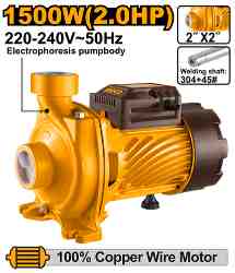 Ingco Water pump